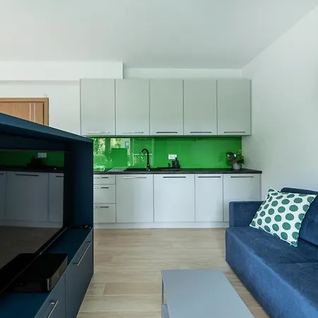 Lion Apartments - Chopina 29 With Parking 5 Min From The Beach And Center Sopoty Exteriér fotografie